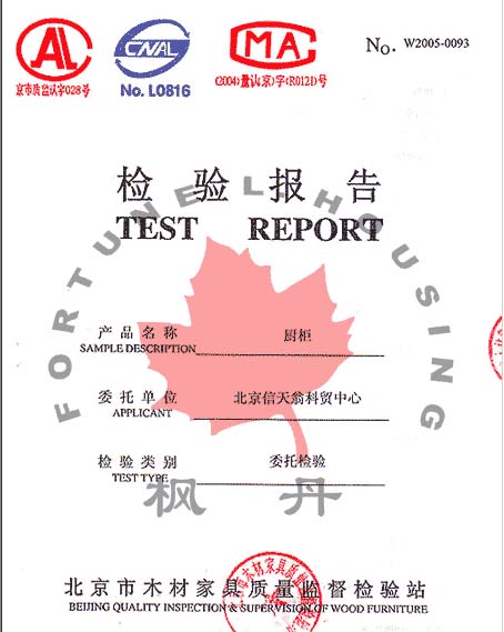 ⱨ
